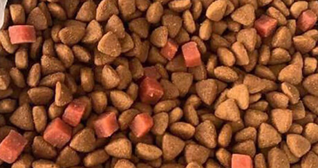 linear vibrating screen for dog pet food